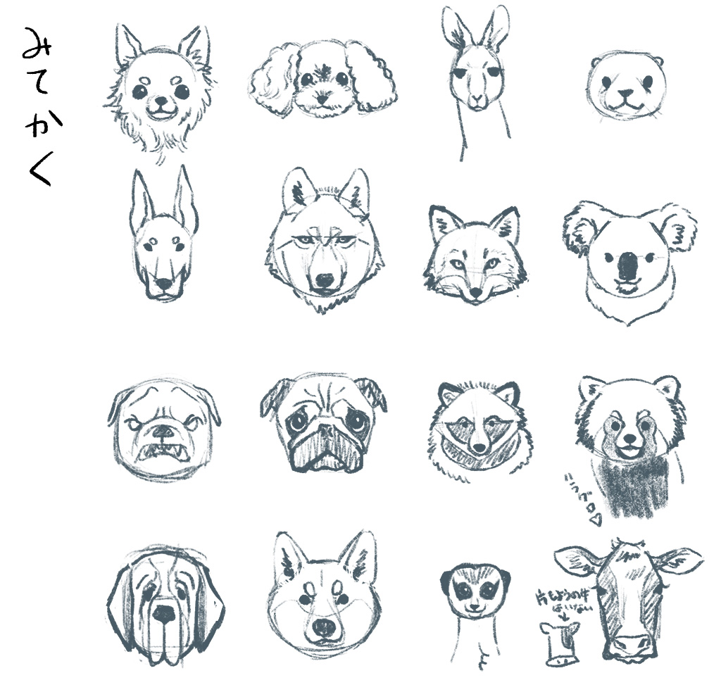 動物50体暗記チャレンジ
今回はまず見ないで描いて、見て描く。
#コルクラボマンガ専科 
#コルクアートクラス 