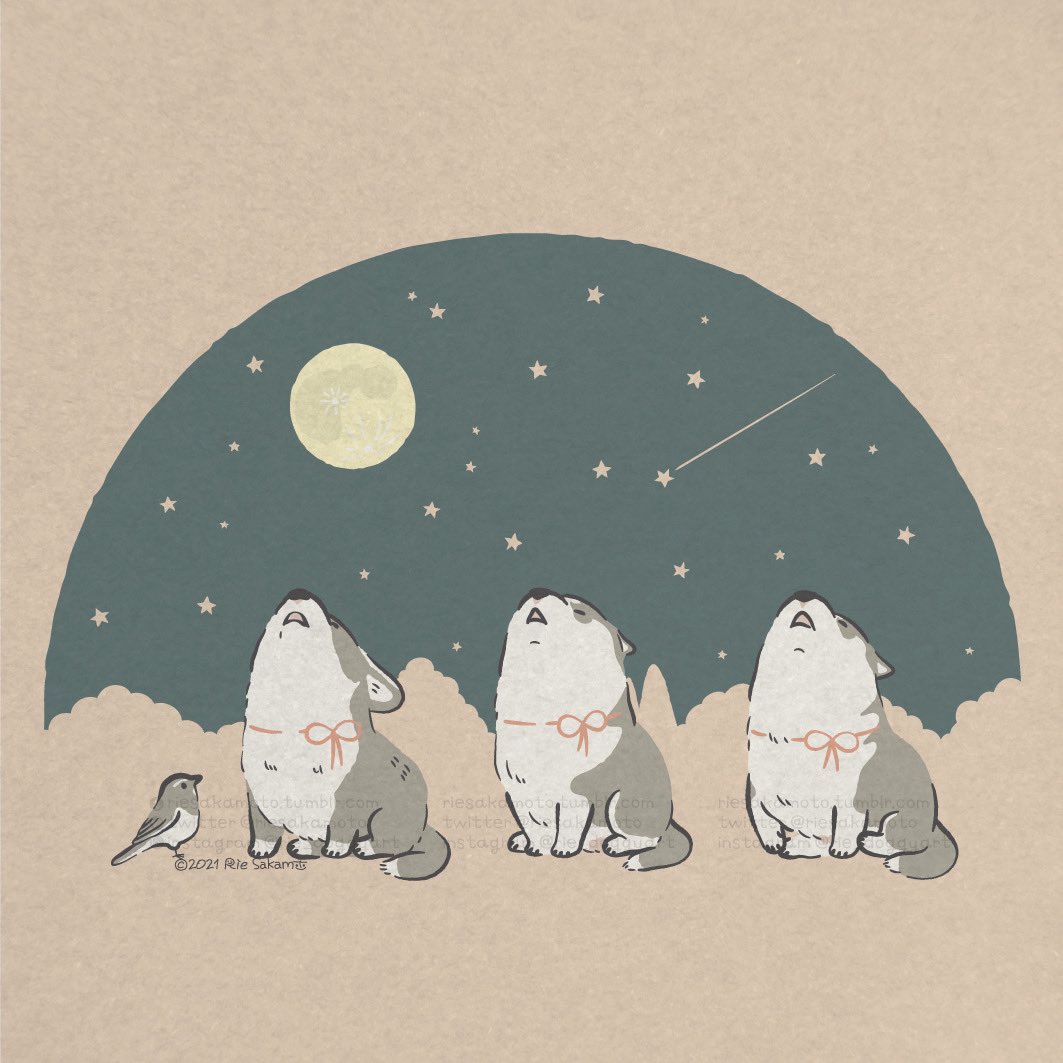 「満月のフラワームーンに遠吠えするハスキーとコーギー 満月 フラワームーン 」サカモトリエ/イラストレーターのイラスト