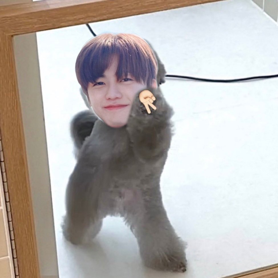 ไอ่ตูดหมึก 🎀🐙 tweet media