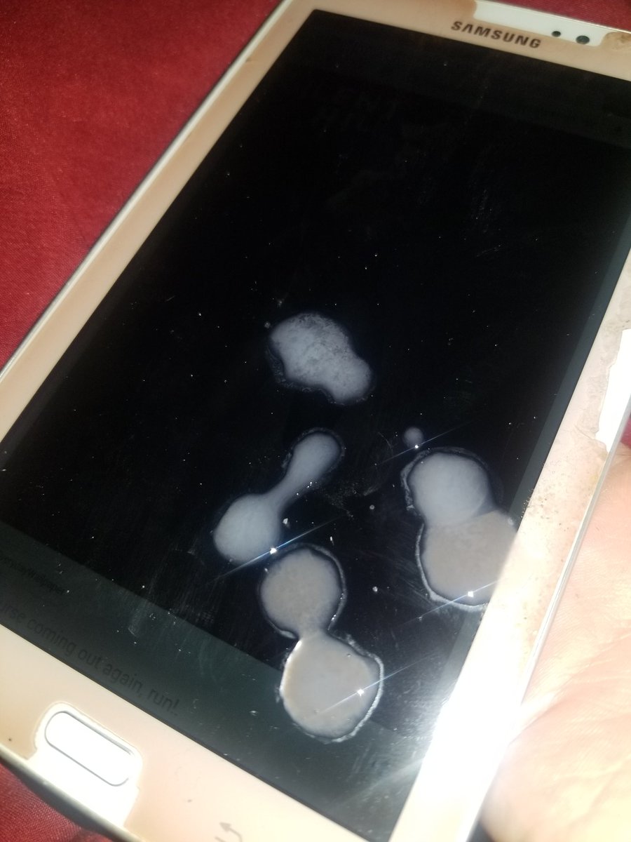 GeekNFreak69's tweet photo. Failed cum tribute attempt. The video didn't capture the shot that was too low xD #Onlyfans #Cum #Daddy #Snapchat #Cumtribute #Cumsluts #DaddyOnSnap #Cashapp https://t.co/vUQol6yR8q