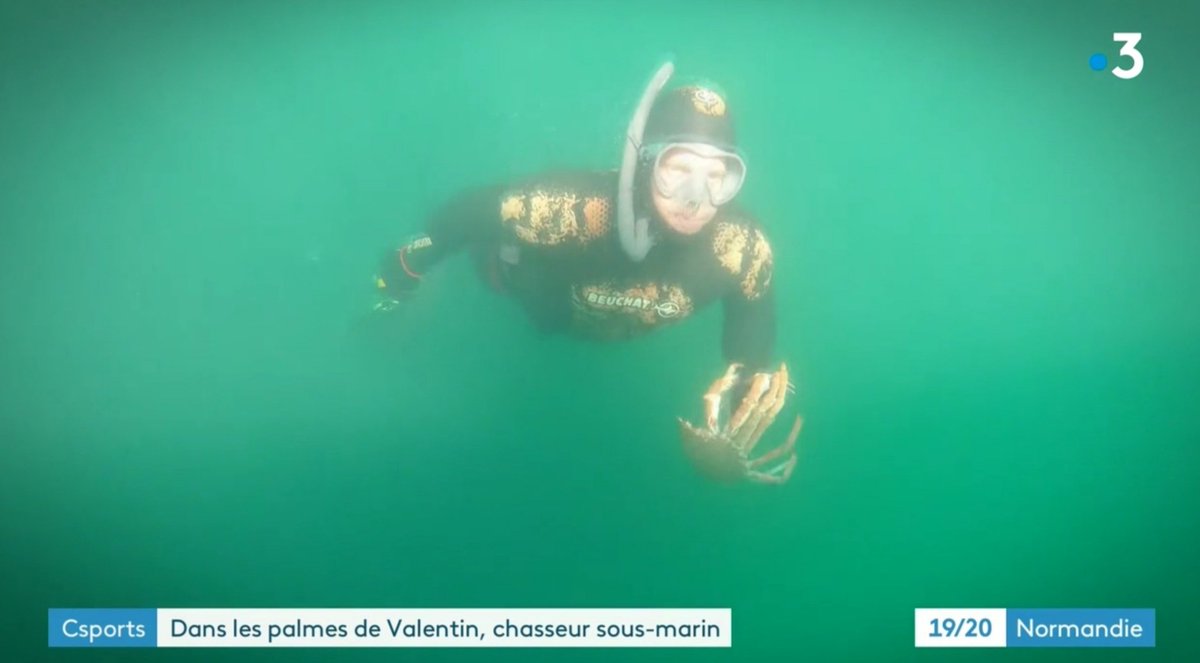 PaulineComt's tweet photo. Valentin Galliero est champion de #chassesousmarine. 6e au classement français, il descend jusqu'à 40 mètres en #apnée. Rencontre avec ce mordu de #plongée, qui baigne dans le milieu depuis son plus jeune âge. Portrait à revoir dans le magazine Csports du 15 mai sur @F3bnormandie https://t.co/MEd7eU6Cpe