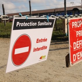 Amendine_LEGROS's tweet photo. 🚨  #InfluenzaAviaire : aucun foyer n’a été détecté depuis 8 jours et aucune suspicion n’est à noter depuis le 30 avril soit 11 jours. Tous les dépeuplements préventifs programmés ont été effectués en #Dordogne🦆Toute l'info en temps réel👉 https://t.co/STLVjuk6QN https://t.co/udxNXXZzqd