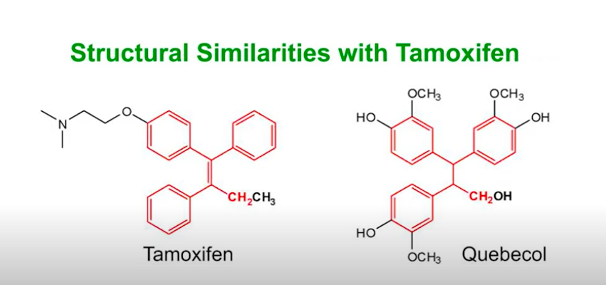 MapleURI1's tweet photo. A common chemotherapy drug, Tamoxifen, is widely used to treat breast cancer and is similar to Quebecol. But, Tamoxifen is known to have side effects. Quebecol could be a future alternative treatment method. Disclaimer: The findings are lab based and further studies are needed. https://t.co/pIo0FeW2WY