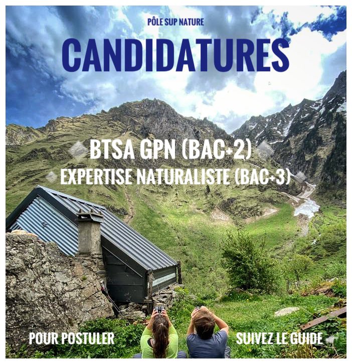 Les candidatures sont ouvertes chez @pole_sup_nature 📯📯📯
Postulez pour un BTSA Gestion et Protection de la Nature (Bac+2) ou en Expertise Naturaliste des milieux (BAC+3)
polesupnature.fr/candidature/
#etudesenvironnement #btsagpn #expertnaturaliste #occitanie #école environnement