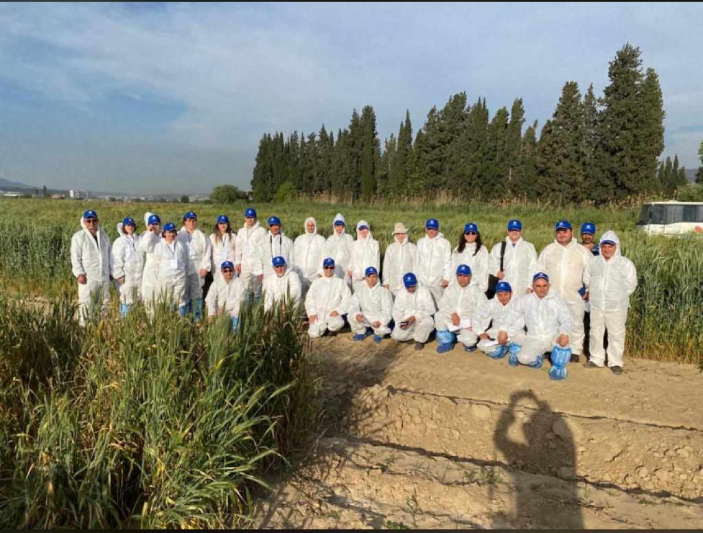 ErtasOz's tweet photo. It was a great and fruitful 9 days at @CerealRust with Dr. Kumarse Nazari and his team under. No doubt, it contributed to my career!! I am really happy to attend #CWANACAC #rusttraining course. https://t.co/ojS6mIxbMb