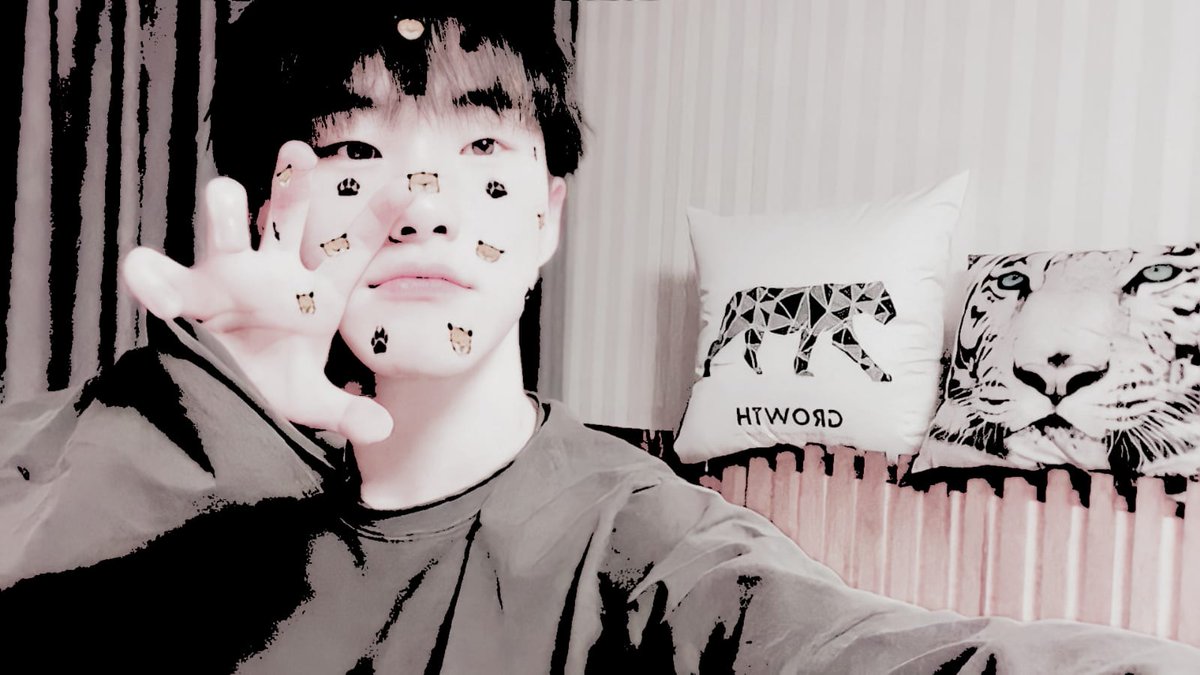 chwedollyy's tweet photo. Everybody say horanghaee 🐯

#CaratSelcaDay #CSD
#Hoshi #호시 #SEVENTEEN 
#세븐틴 #FaceTheSun @pledis_17 https://t.co/MuOObMPCFO