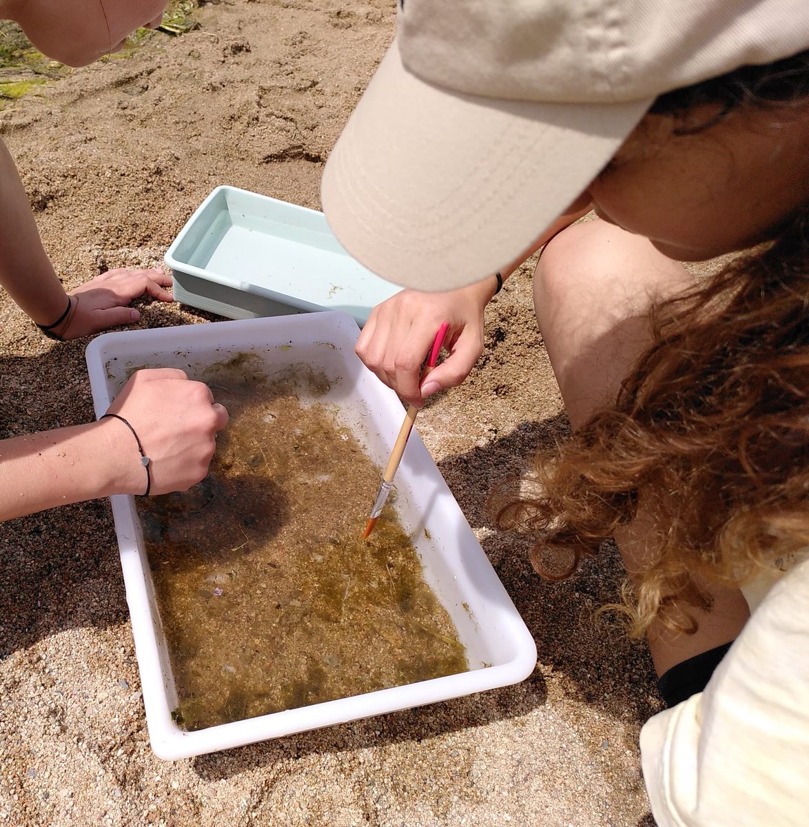 ObsRivus's tweet photo. Aquest dissabte hem impartit la sessió #biodiversitat Viu el Riu! dins la 3a edició del Curs Ciències de la Terra de #BojosperlaCiència, acostant estudiants de batxillerat a la #Tordera i a l'estudi dels #bioindicadors, amb @_ToniMas @QZaldoAubanell @PedreraFundacio @ICTA_UAB https://t.co/XsmM3qm5kn