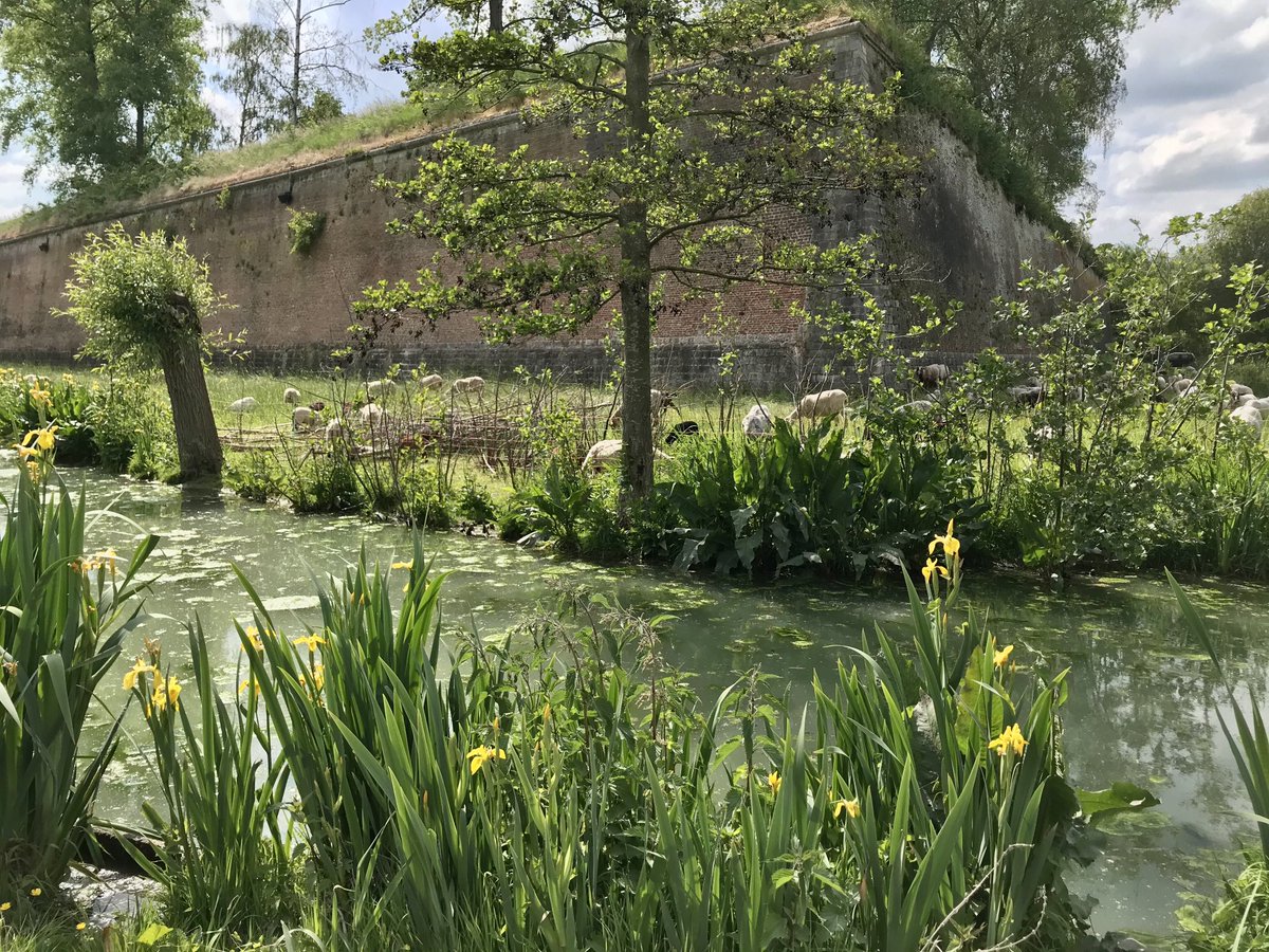 marccapelle's tweet photo. Tour de la magnifique citadelle de Lille. Tour en marchant. 20 mn.
Pas un exploit ? Si, car pas une seule consultation de mon smartphone. Demain, je tente deux tours.
#desintoxication https://t.co/FGtlwBjIK7