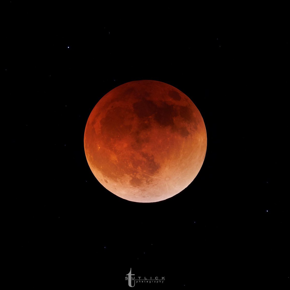 SconnieShotz's tweet image. My #LunarEclipse shot from last night. I hadn’t shot one since 2014. I’m pretty happy with performance of the equipment used. Camera and lens lens were flawless. #benropolaris tripod head needs some work. 
#Eclipse2022 #BloodMoon #sigma150600 #CanonR6