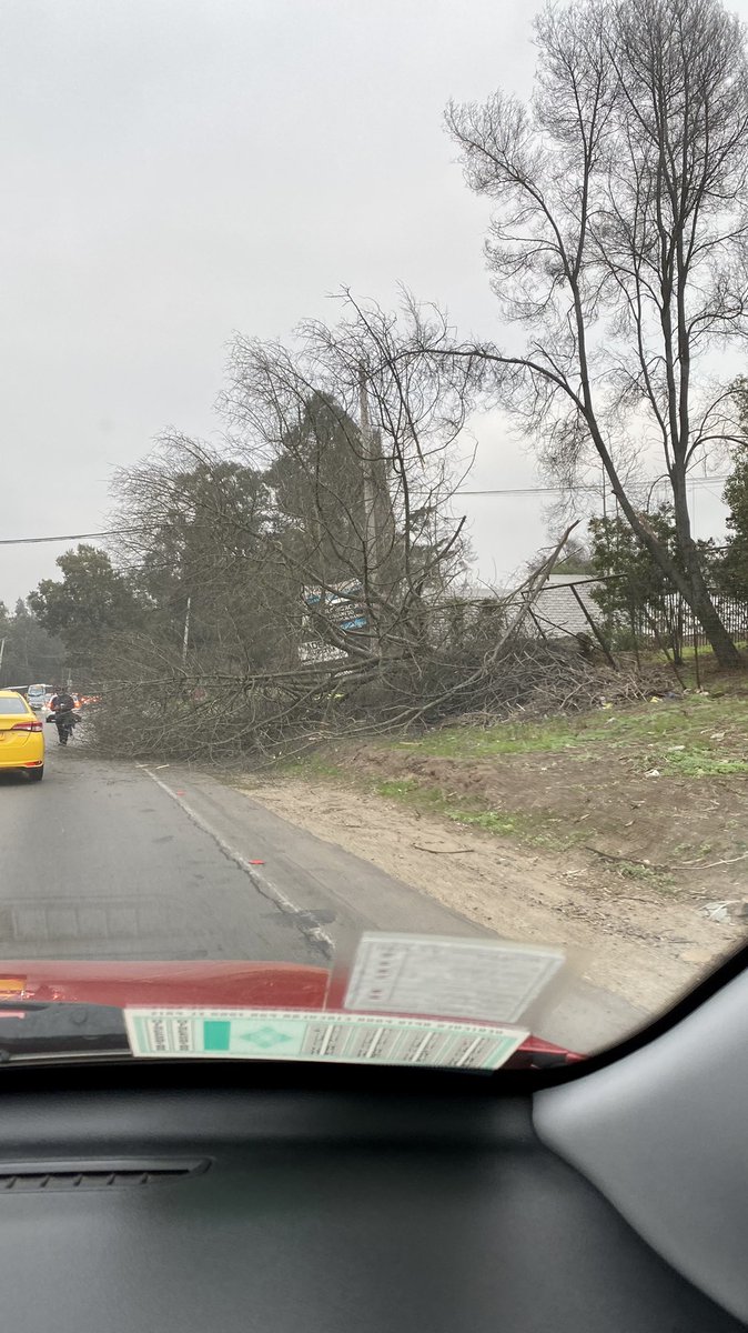 koque's tweet photo. @sitiodelsuceso precaución árbol caído en vía F-30-E altura fábrica de champiñones, dificulta tránsito en dirección a Concón https://t.co/mCoRRXCpdb