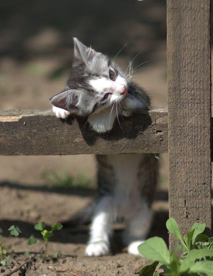 Marie 🕊 tweet media