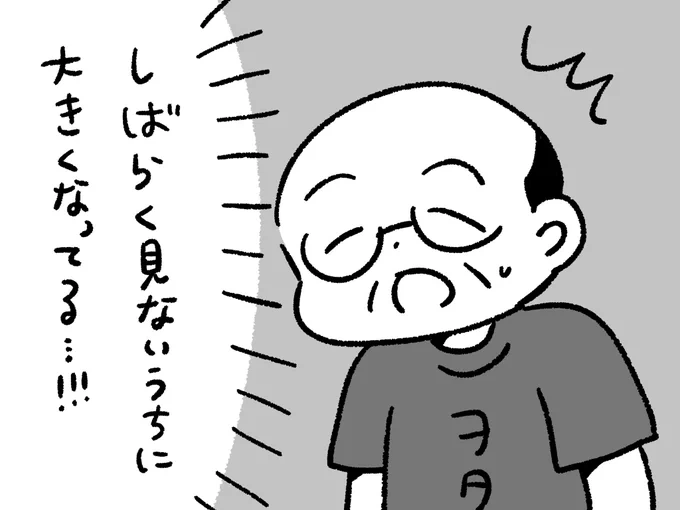 アイドルグループ、最年少のメンバーを久しぶりに見たヲタク 
