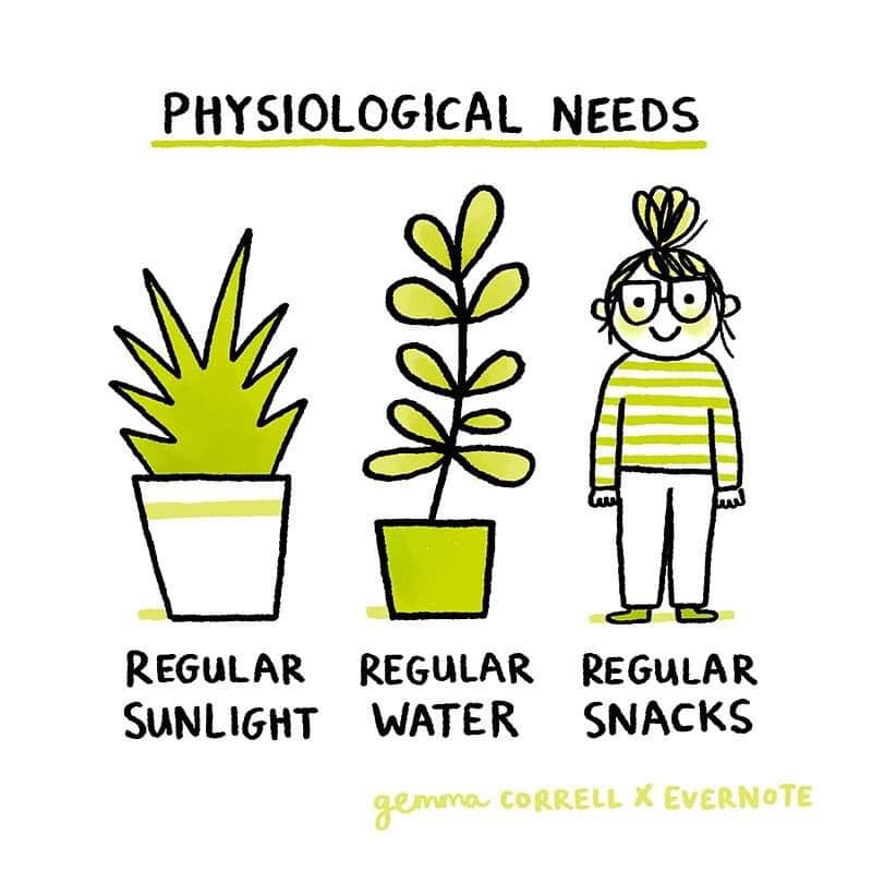 FailSafe for Life tweet media