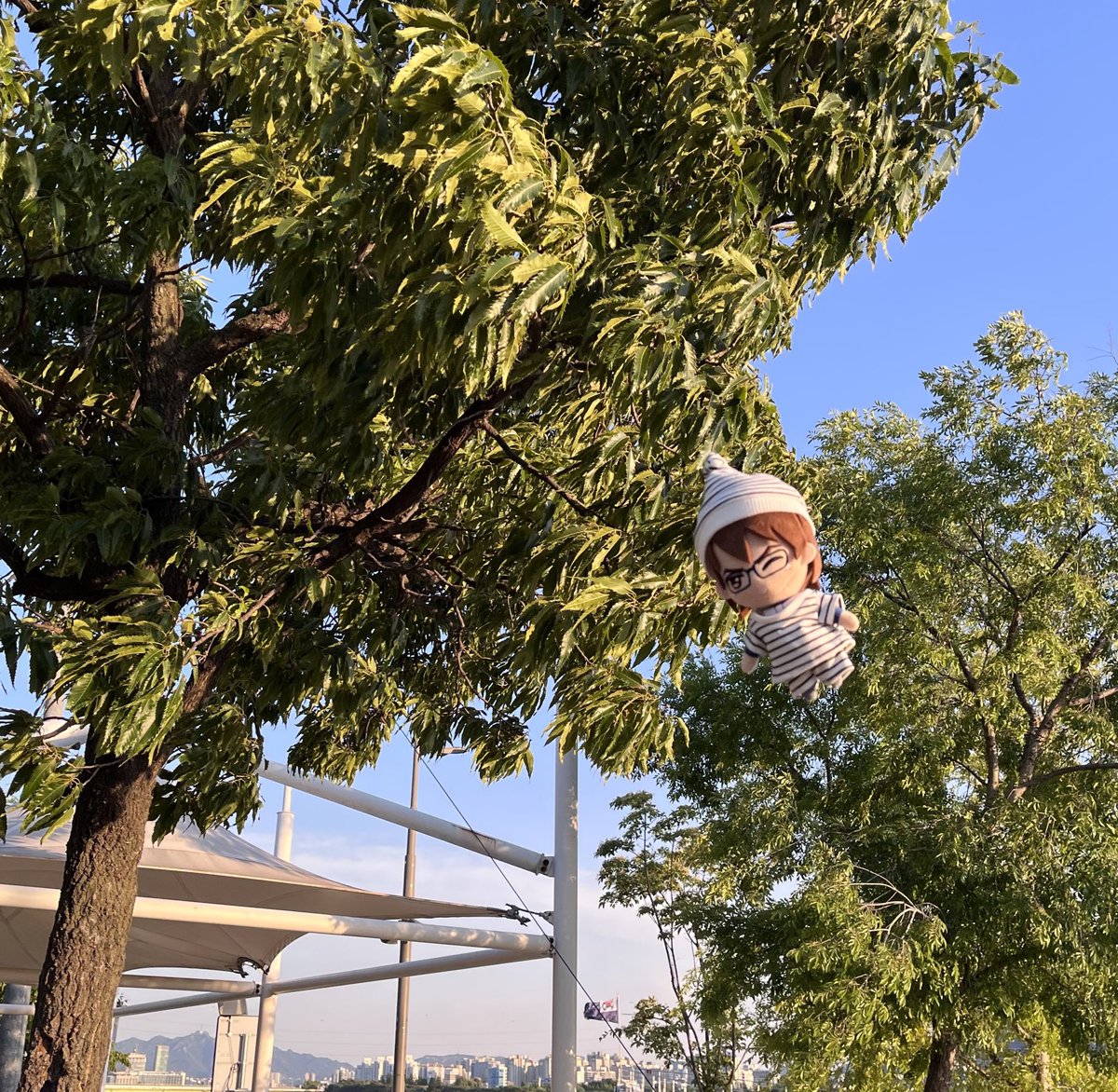 어제 한강가서 미유키 항공샷 찍었는데..
귀엽다 미유키 너란 남자..ㅋ