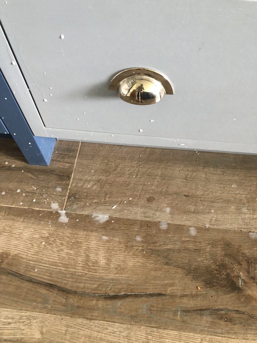 TooOldForADHD's tweet photo. #askadhd guess who didn’t screw the lid on milk last time I made a quick cup of tea (tea obviously now cold and only half-drunk).
Get milk out of fridge, shake milk - milk now all over the floor, kitchen cupboards and mostly ME  #adhdlife https://t.co/4C6UFQY7D3