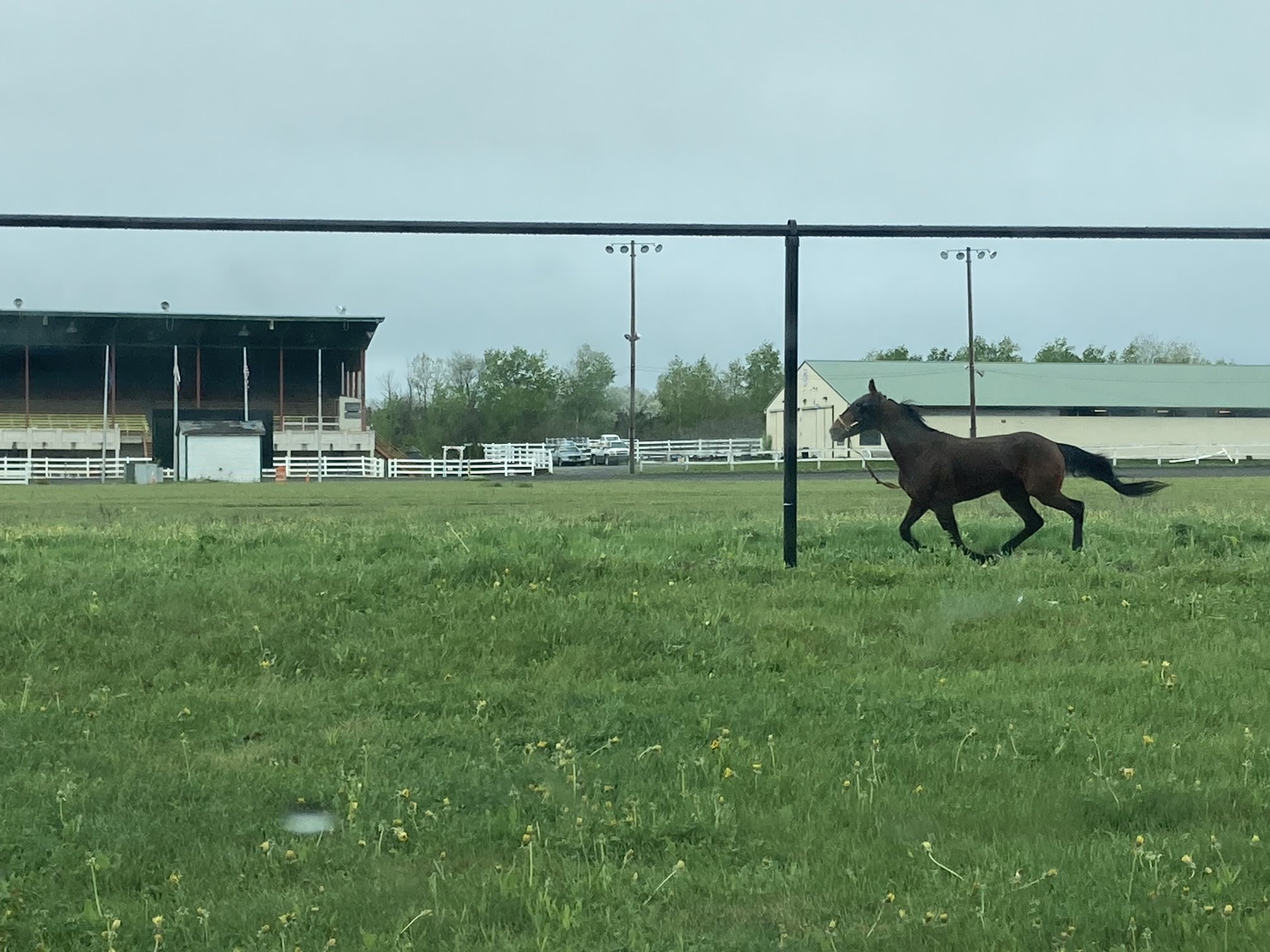 Ben Sprague (bensprague) / Twitter