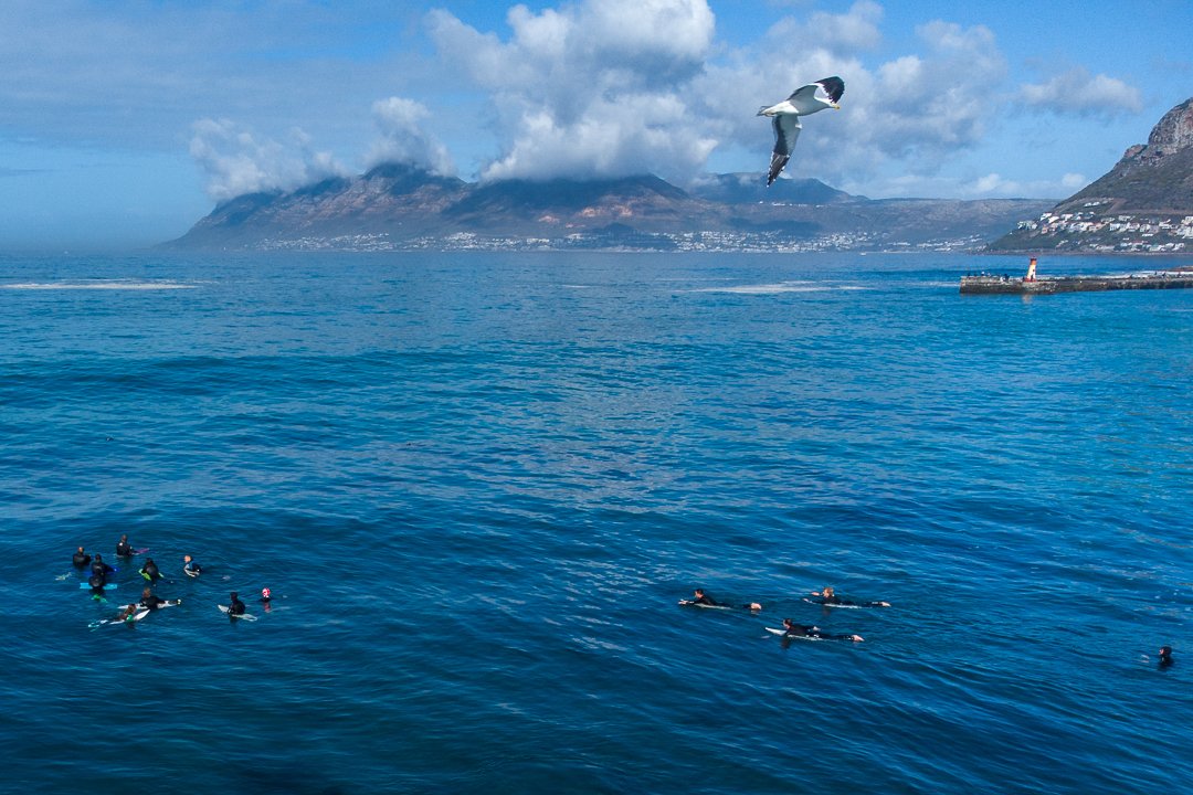 chappypix's tweet photo. Some #kalkbay surf drone shots from this weekend . #CapeTown #capelens #capesurf #surfing #dronephotography https://t.co/KucuKRmwkk