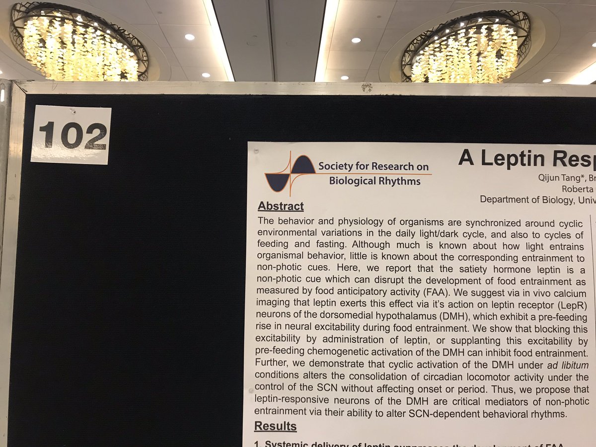 Mouse_QT's tweet photo. My poster is up! Wondering where and how food time entrain the brain? Please stop by my poster 102. #SRBR2022
A centery since the discovery of food anticipatory activity. 🤪 https://t.co/1nnzhirlst