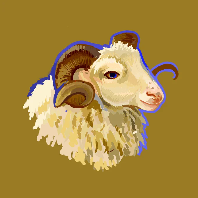 Two sheep warm-ups 