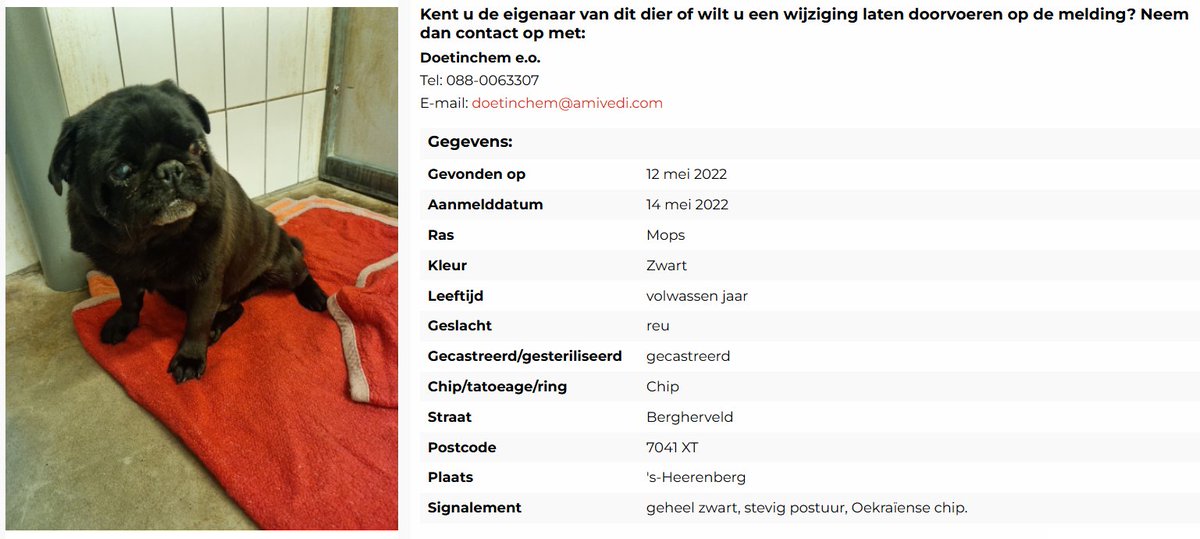 gem_montferland's tweet photo. 𝗩𝗮𝗻 𝘄𝗶𝗲 𝗶𝘀 𝗱𝗲𝘇𝗲 𝗠𝗼𝗽𝘀𝗵𝗼𝗻𝗱? 𝗚𝗲𝘃𝗼𝗻𝗱𝗲𝗻 𝗶𝗻 '𝘀-𝗛𝗲𝗲𝗿𝗲𝗻𝗯𝗲𝗿𝗴 🐾 https://t.co/1ZhcQun8an