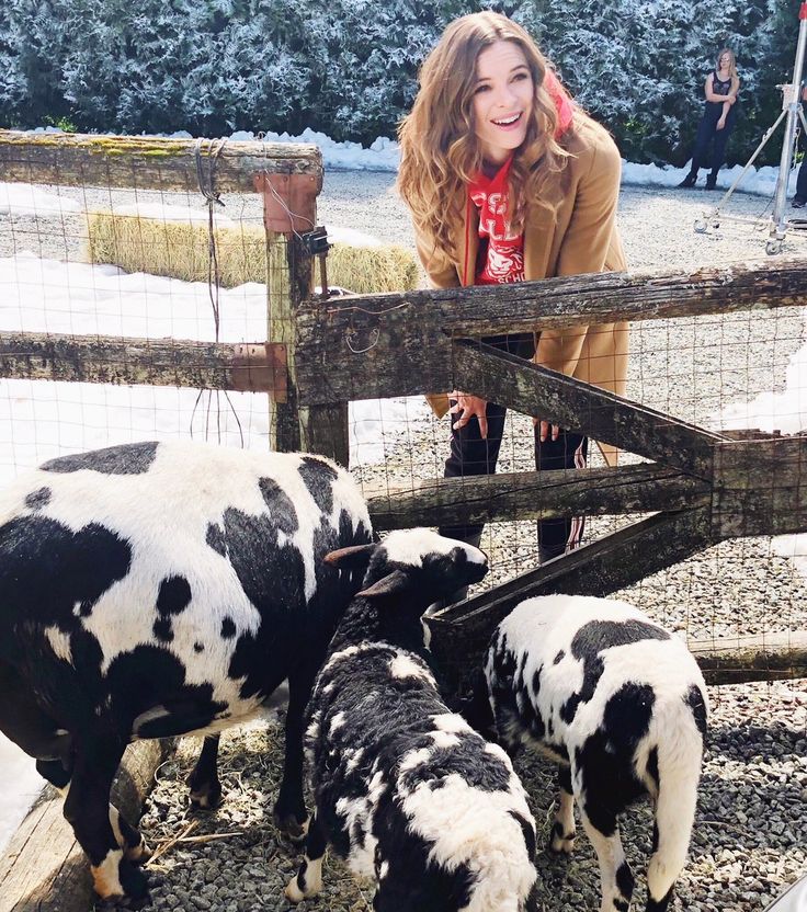 CGrindlewald's tweet image. 