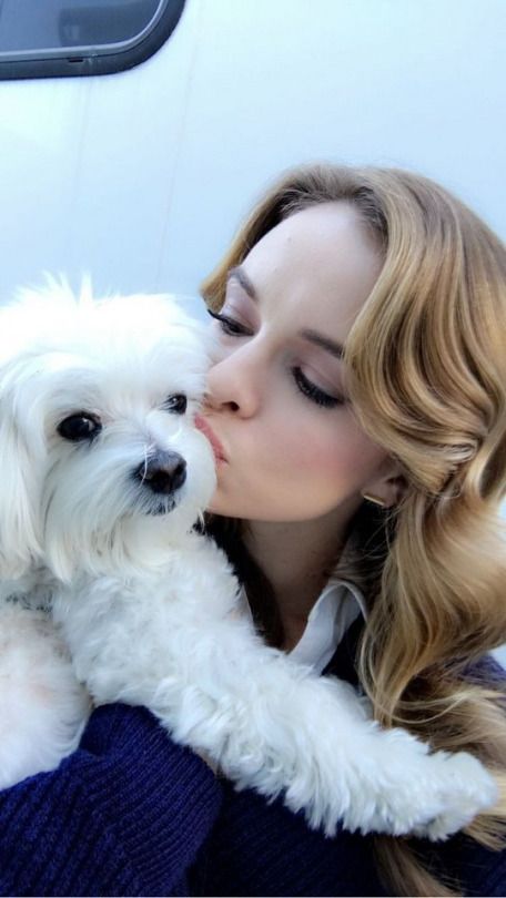 CGrindlewald's tweet image. 