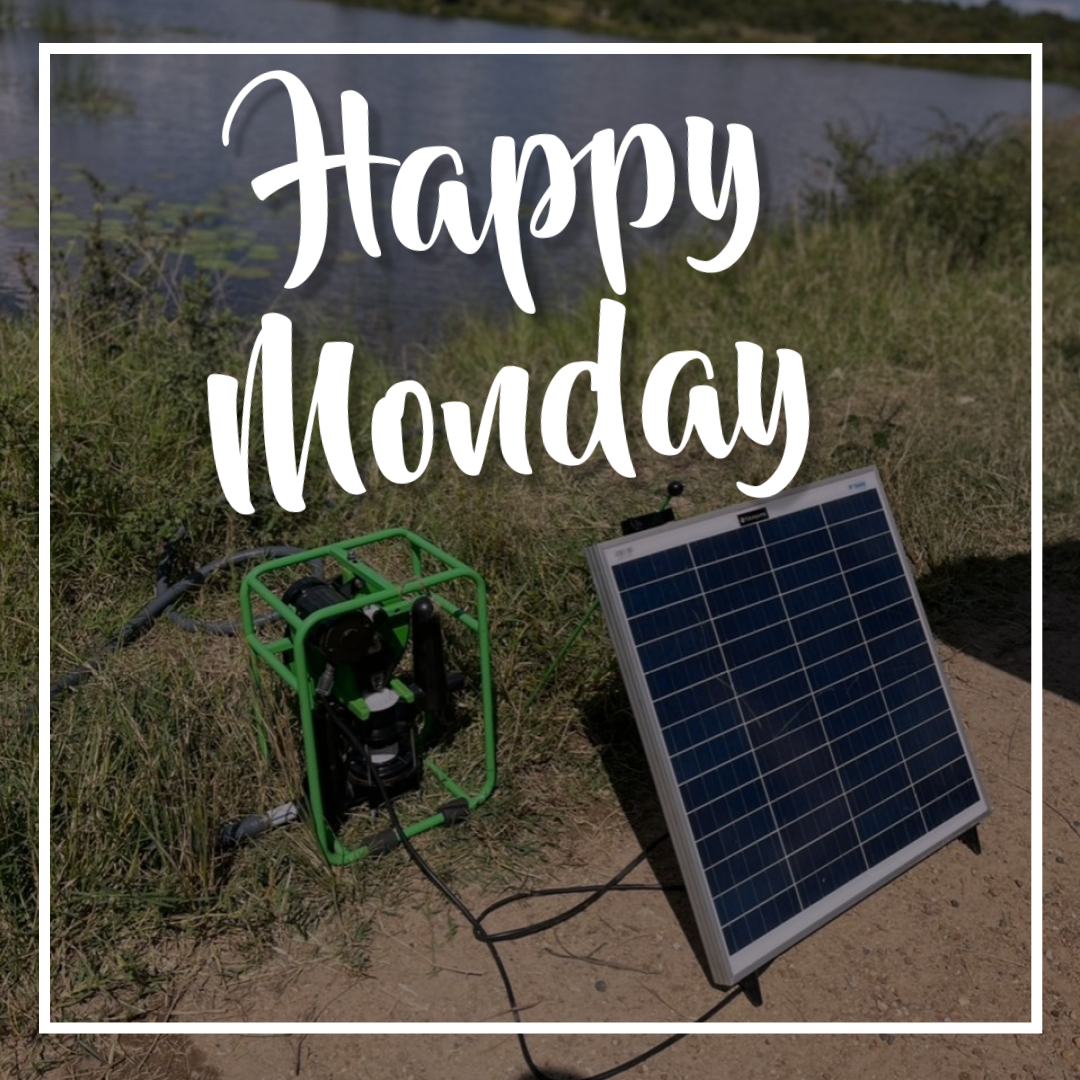 CelfreEnergy's tweet photo. It's a new week, let's make new plans and execute the ones we had left hanging😉😉 https://t.co/v5PRvydyey