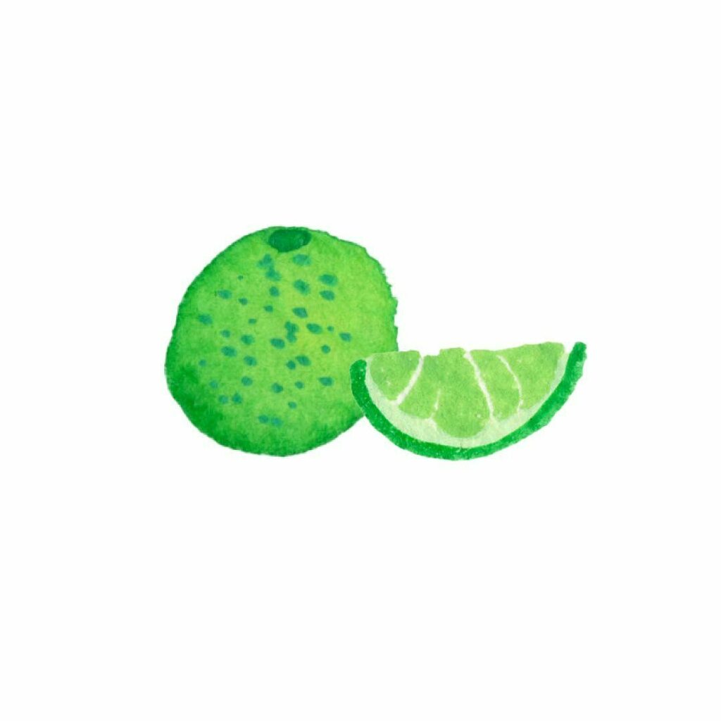 Anna ライム Lime ライムイラスト 水彩画イラスト 夏のイラスト Limeillustration Watercolorillustration Summerillustration 라임일러스트 수채화일러스트 여름일러스트 From Instagram T Co Ycphxq1bhd Twitter