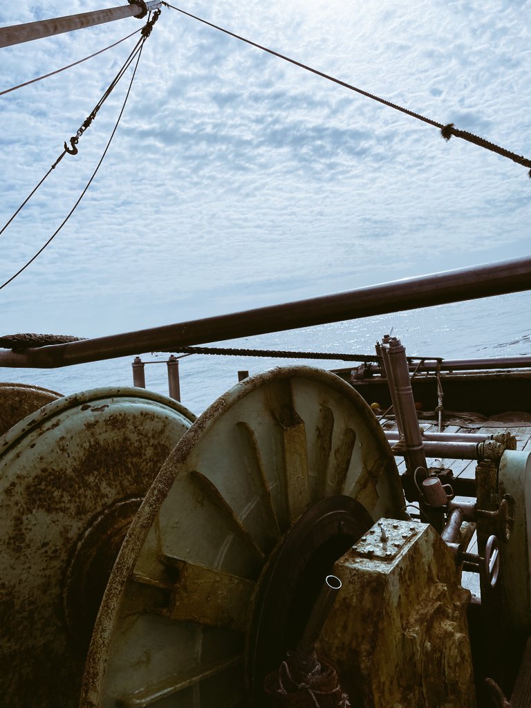 shinkaigyo_ch's tweet photo. The trawling fishery in the Suruga Bay area will be closed until September. This is for resource protection. I hope that mysterious creatures will entertain us again after the holidays !!
#Japan,#Shizuoka,#Heda,#Deep_Sea,#Deep_Sea_Fish,#Suruga_Bay,#Traditional_Trawl_Fishing https://t.co/C66SEbvgRa