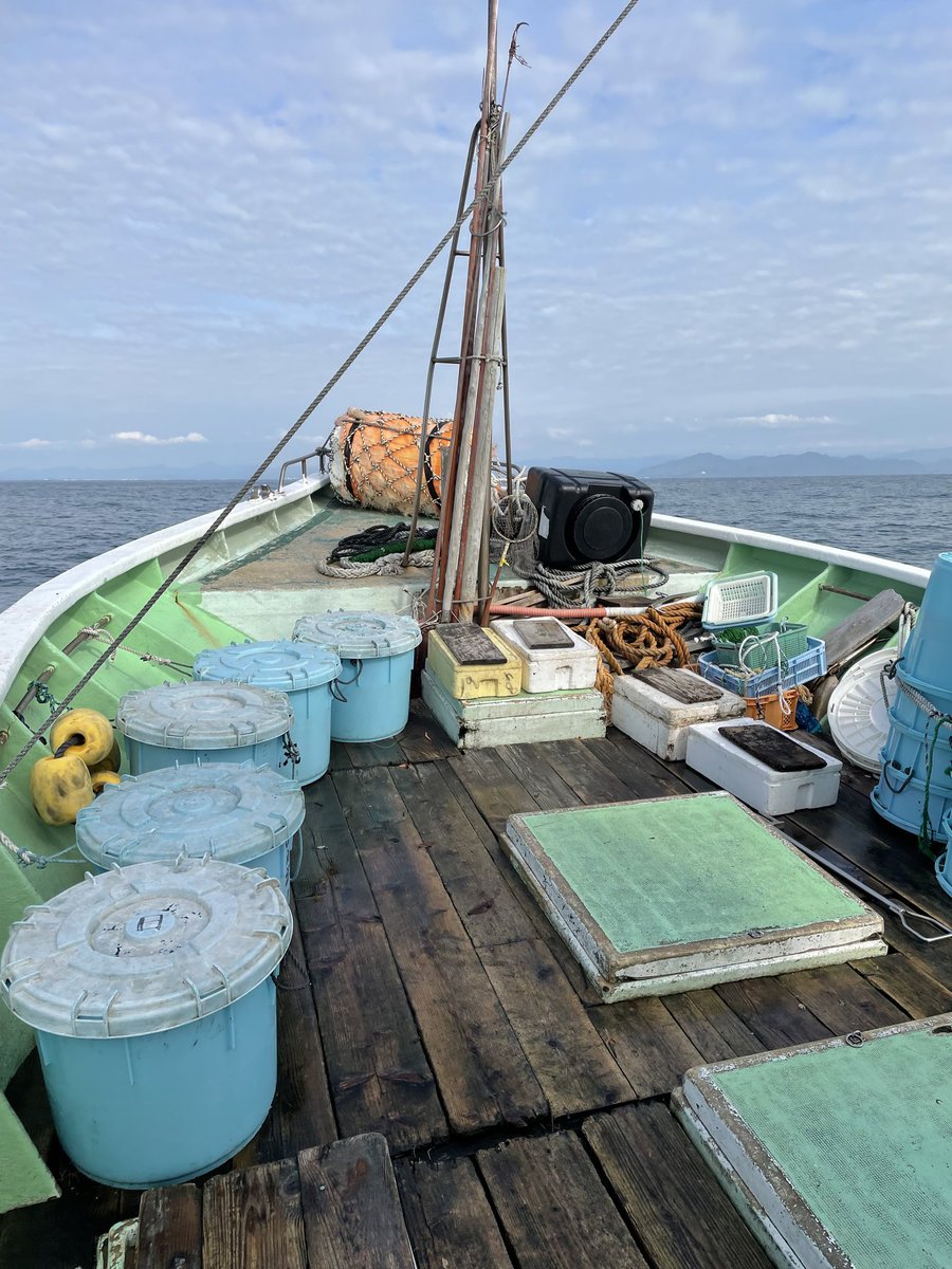 shinkaigyo_ch's tweet photo. The trawling fishery in the Suruga Bay area will be closed until September. This is for resource protection. I hope that mysterious creatures will entertain us again after the holidays !!
#Japan,#Shizuoka,#Heda,#Deep_Sea,#Deep_Sea_Fish,#Suruga_Bay,#Traditional_Trawl_Fishing https://t.co/C66SEbvgRa