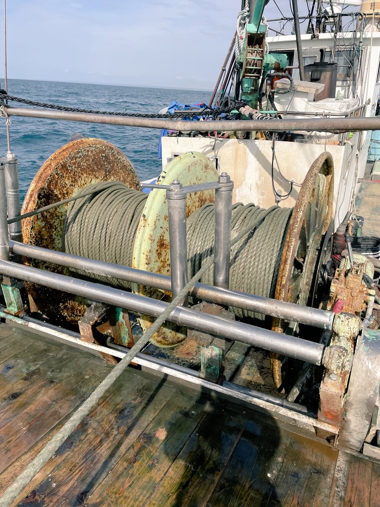 shinkaigyo_ch's tweet photo. The trawling fishery in the Suruga Bay area will be closed until September. This is for resource protection. I hope that mysterious creatures will entertain us again after the holidays !!
#Japan,#Shizuoka,#Heda,#Deep_Sea,#Deep_Sea_Fish,#Suruga_Bay,#Traditional_Trawl_Fishing https://t.co/C66SEbvgRa