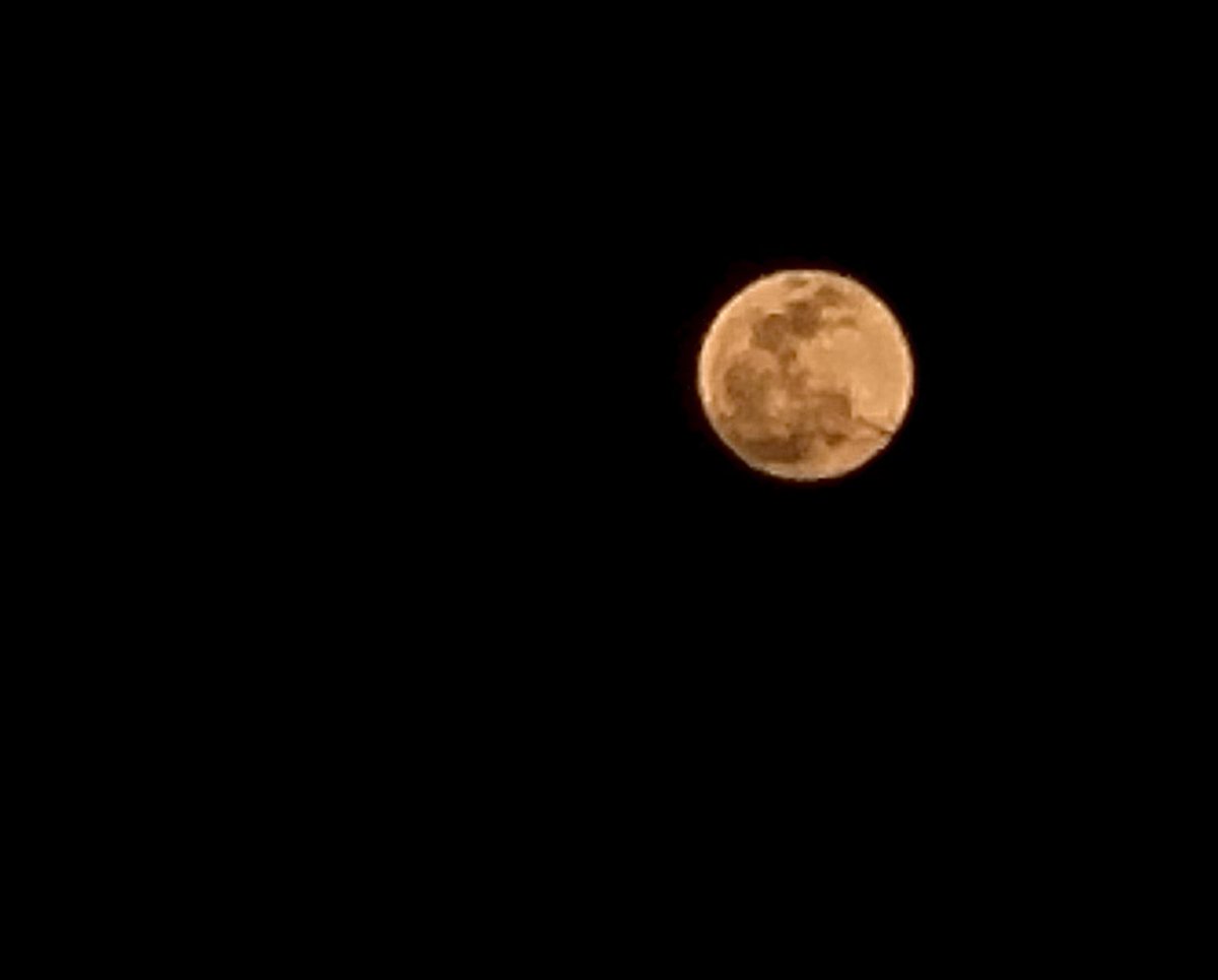 VeroOrMo's tweet photo. Si quieren una foto con su celular de la luna un poco decente solo:  1. Enfoquen 2. bajen la exposición. 3.zoom hasta el final.  De nada https://t.co/XUOsfk5ygV
