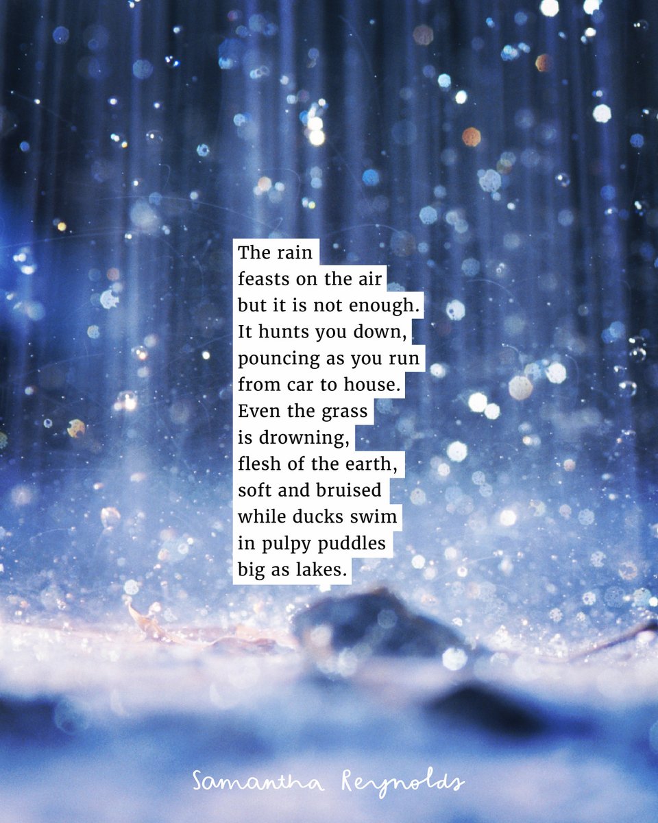 bentlily's tweet photo. When it feels like the rain is actually mad at you. 😳 🌧️
.
.
https://t.co/MNq4zTyPNY
#amwriting #poetryaccount #dailypoem #rainyspring #vancouverrains #springshowers https://t.co/quAqWzJyy3