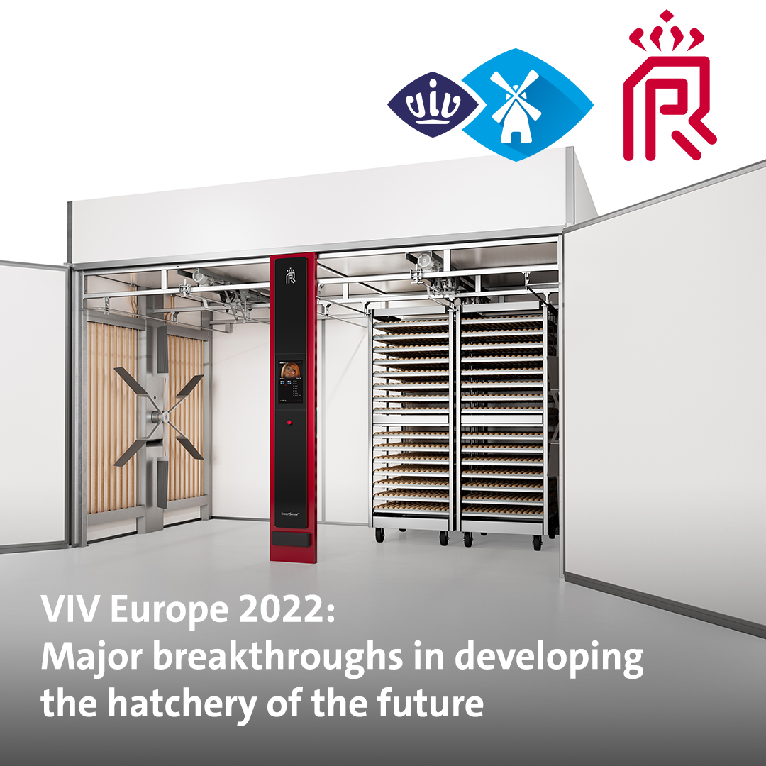 Royal Pas Reform tweet media