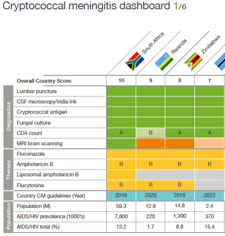 New visual dashboard showing the capacity for high quality care for cryptococcal meningitis in each country in Africa. Compiled by direct dialogue with each country. Examples of excellent care, but many gaps. gaffi.org/media/news/