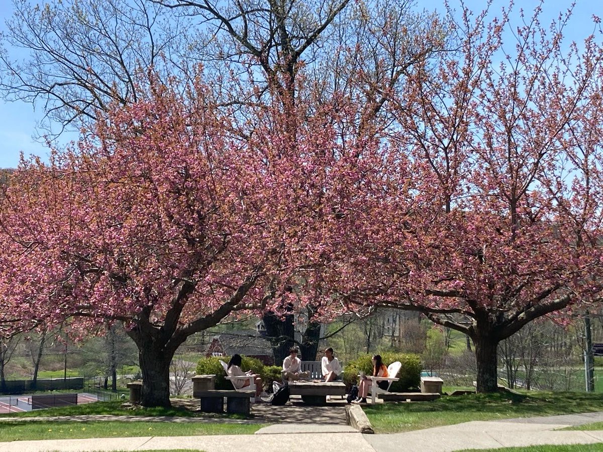 We enjoy when campus is in bloom during the Spring. Here are a couple of our favorites for you to enjoy today too!
#wearewooster
#springtimeinbloom