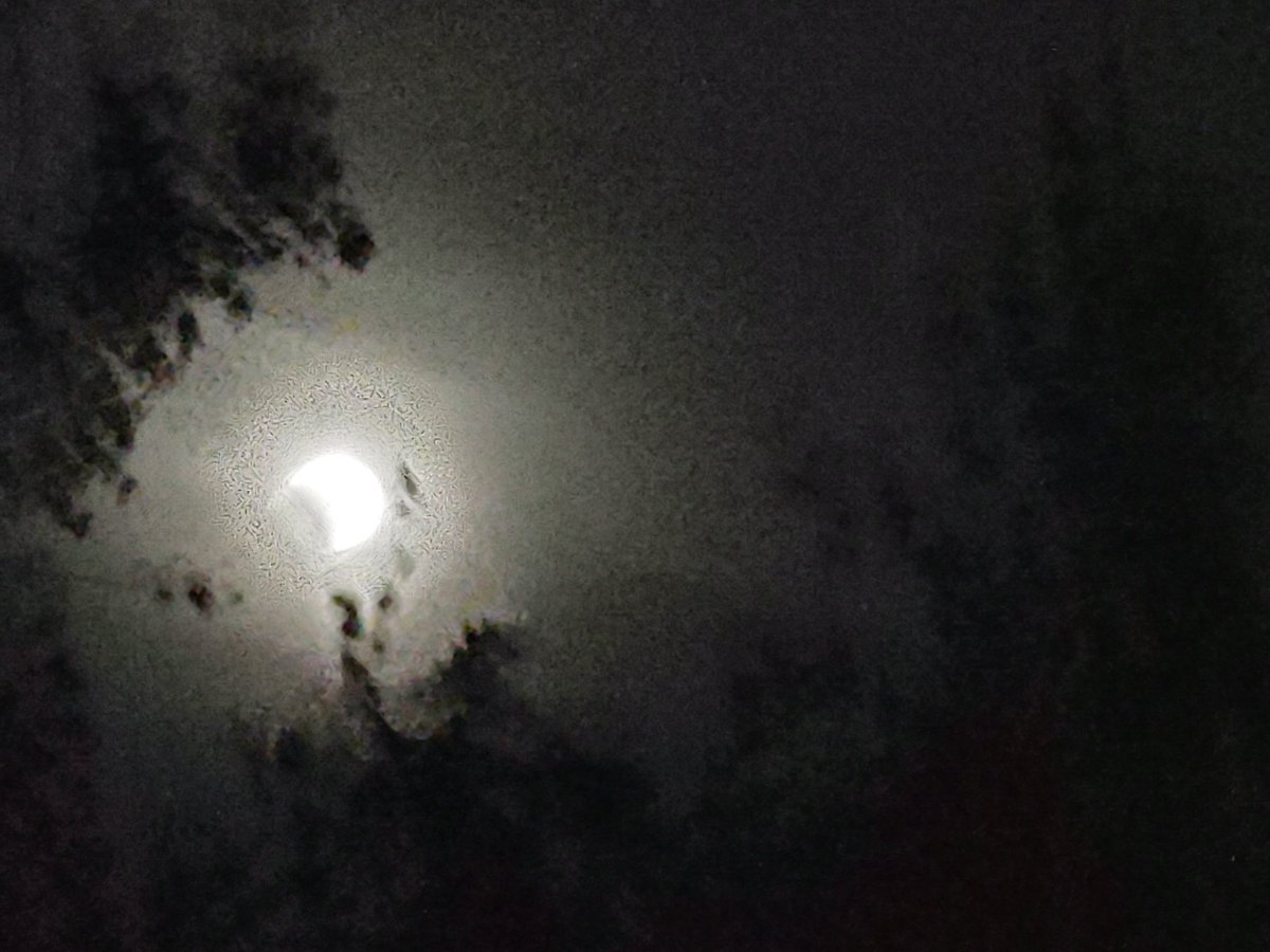 Got the shot last night. More on the Canon R to come. #AYP <a href="/marc_silber/">Marc Silber</a> #BloodMoon