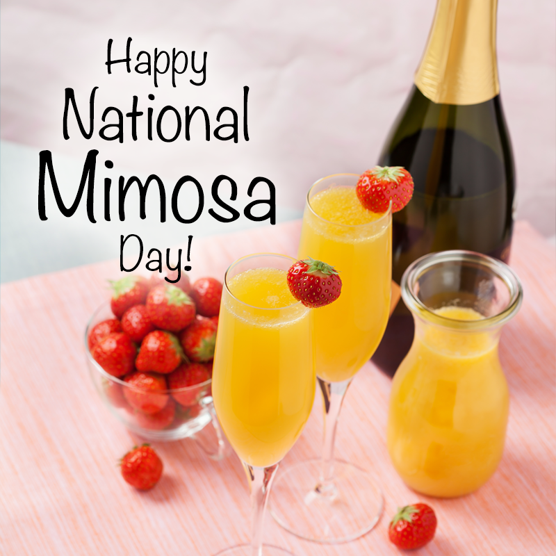 Underground Cellar tweet media