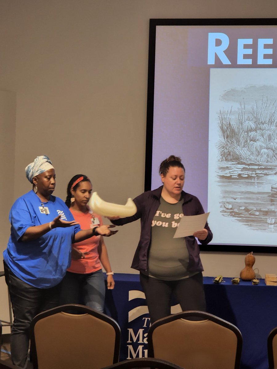 IKaeRI's tweet photo. We are very thankful to @MarinersMuseum for letting us be a part of the touch tour for the blind community. Our own Meaghan Mozingo and Hector Garcia created 3D models and other display aids that complemented the story about the evolution of boats and ships @VMASC_STEM @VMASC_ODU https://t.co/URolLTgGFx
