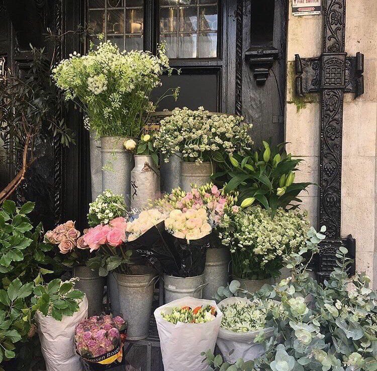 liviuuh's tweet photo. go get yourself some flowers <3 https://t.co/7IoIScZ8am