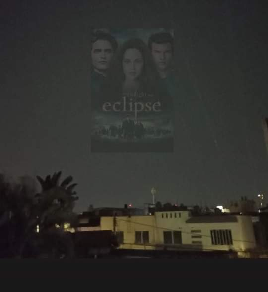 Luistigre tweet media