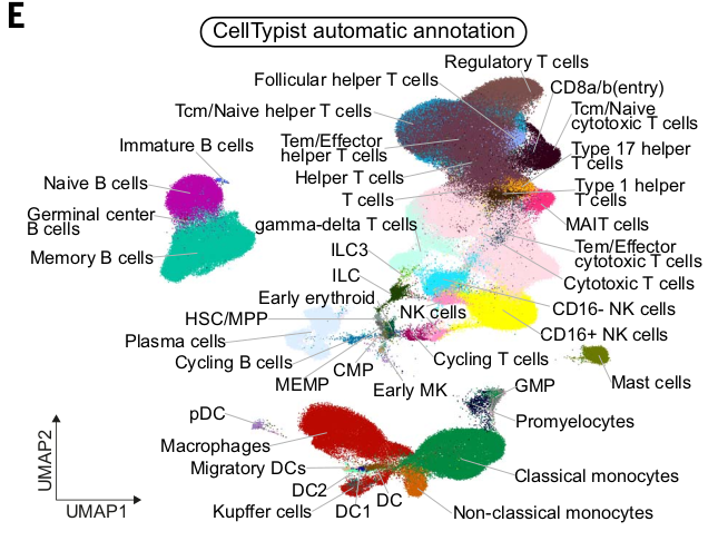 Ramon Massoni Badosa tweet media