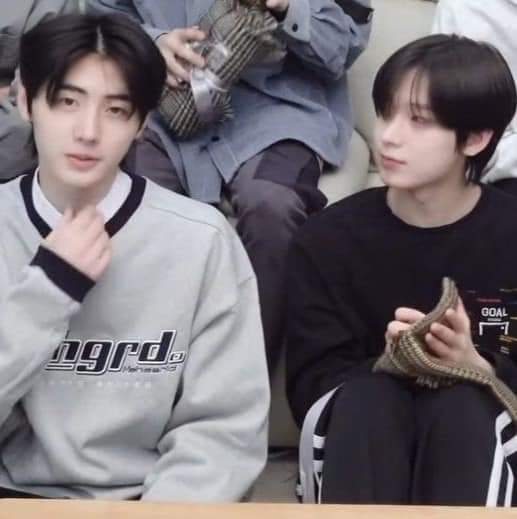 kyunby's tweet photo. 🧸 Heather | Sunki au

🖇️ A Ni-k¡ siempre le ha gustado Sun, pero nunca ha tenido el valor de decírselo y ahora que Sun empezó una nueva relación es prácticamente imposible que le corresponda.
Ni-k¡ nunca sabrá la verdad y Sun nunca podrá decírselo. https://t.co/VTkiTtw5XB