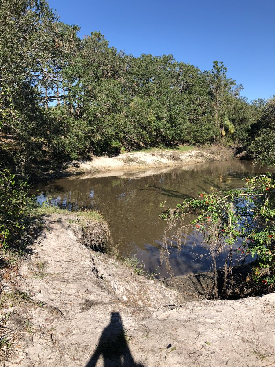 Bridget McDaniel tweet media