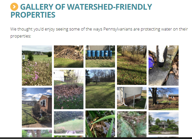 These are properties that are contributing to the health of PA’s watersheds through practices such as rain gardens and other stormwater management strategies, cultivation of native vegetation, elimination of pollution sources, conservation of water (rain barrels), and more.