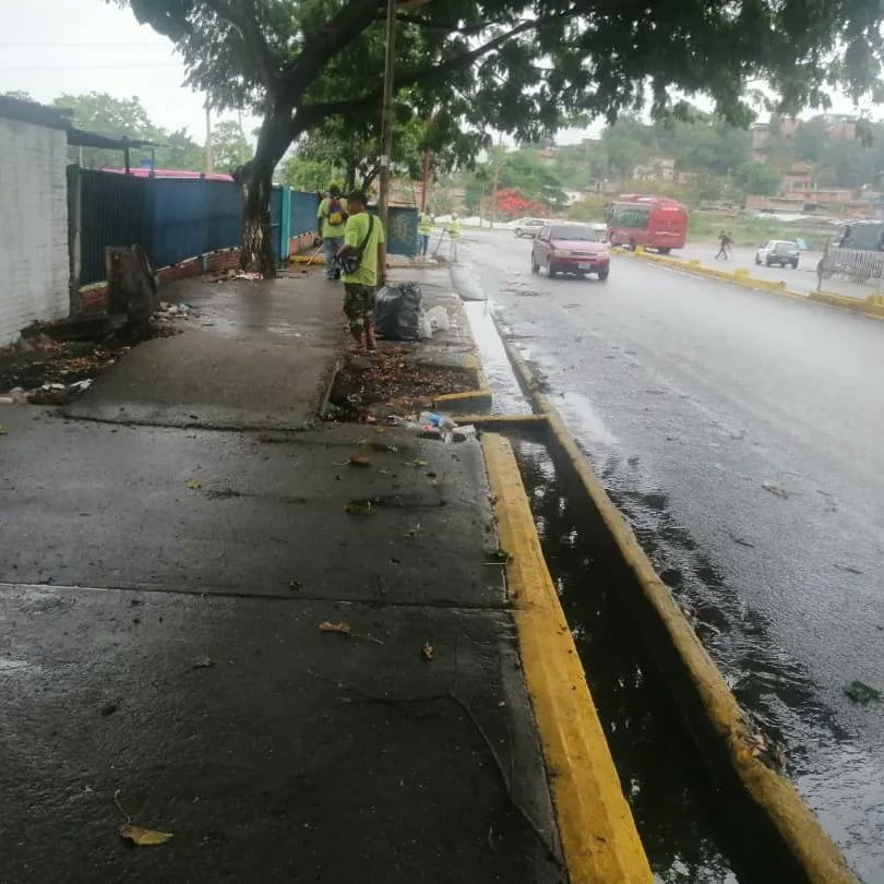 AlcaldiaZamoraO's tweet photo. Alcaldía de Zamora realizando labores de limpieza en la Avenida Antonio Machado. Continúan los trabajos de embellecimiento del municipio. https://t.co/c6CXjUbcKN