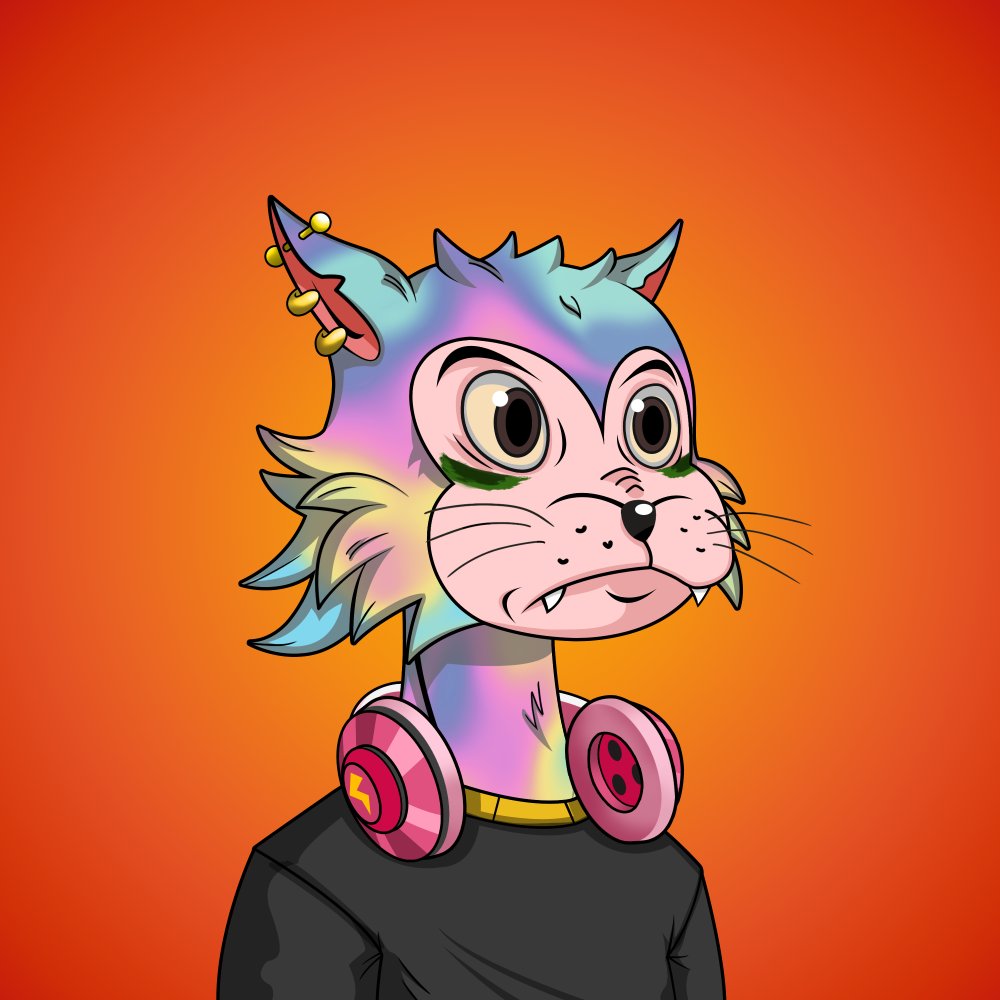 archbdw's tweet photo. @Plebsbetrippin @HellCatsNFT @MagicEden it seems like all of them are forever cats now, but these are my fav.. I've been keeping 3 of them from the day of the mint...
I believe in the team, so I'll also keep the new ones released on #SolanaNFT π₯ #RaisedFromHell π₯ https://t.co/HnTRJf8DPi