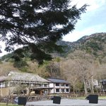 ツイートに含まれる画像