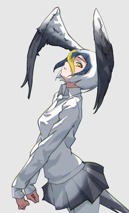 アオツラカツオドリ 