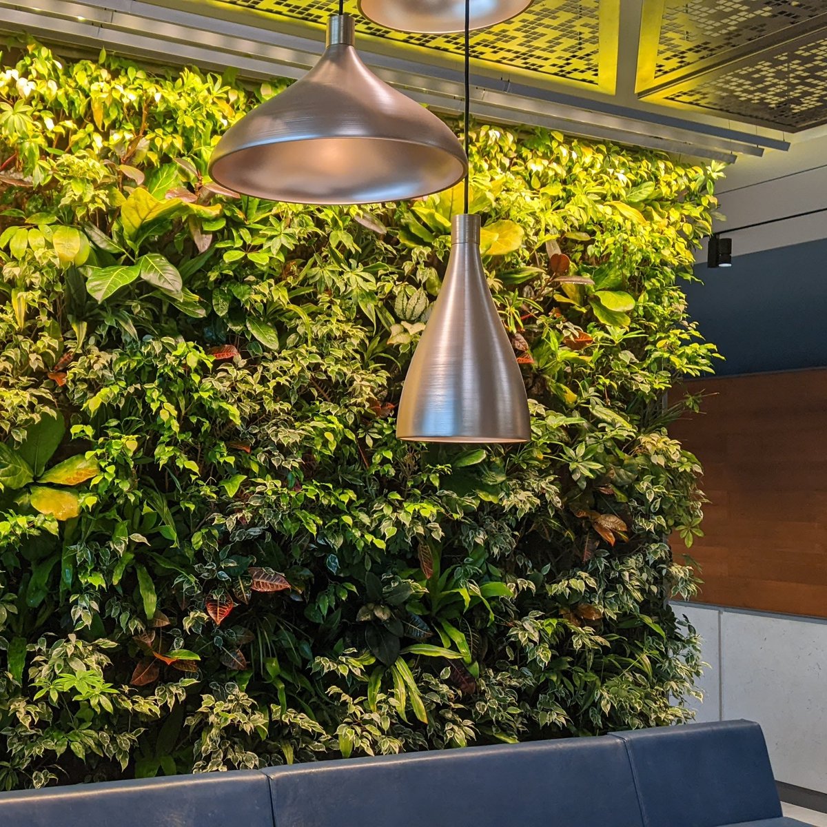 Nedlaw Group tweet media